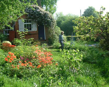 Martin Pollard's Garden